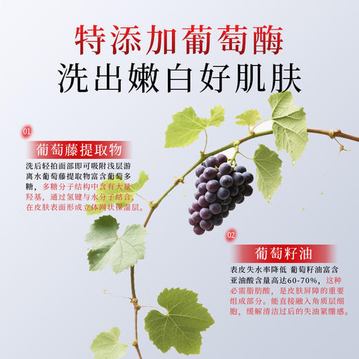 【刷酶SPA❗️葡萄发酵生物酶洁面乳】FLOWERWAY深层清洁不刺激小气泡洗面奶粉丝专属 商品图3