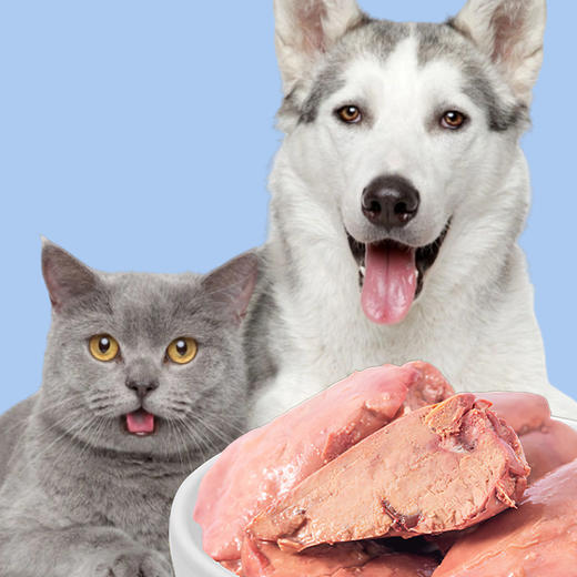 【巨划算！独立包装一次到手 10 包 】 方便携带 无诱食剂猫零食狗零食 训练奖励拌粮 商品图0