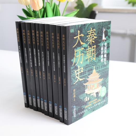 大历史里的中国系列丛书(全十册) 商品图3