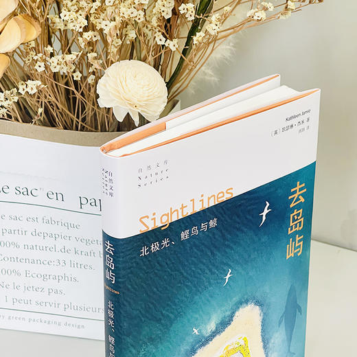 去岛屿：北极光、鲣鸟与鲸(自然文库) 商品图7