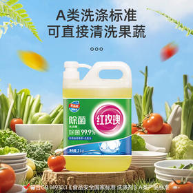 红玫瑰（Hongmeigui） 除菌洗洁精2kg洗除黄曲霉毒素和幽门螺杆菌A类食品用冷水去重油 /家庭清洁/纸品 /家庭环境清洁 /洗洁精