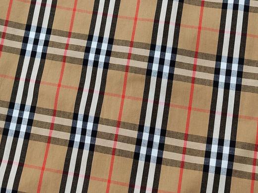 点此购买 巴宝莉春秋季男女款经典格子长袖衬衫 lhy 340784 商品图5