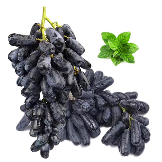 【会员41.5/斤】澳大利亚进口蓝宝石金手指无籽黑提 商品图3