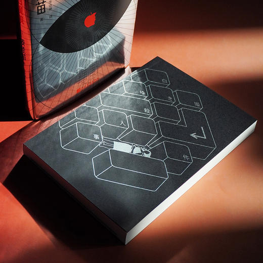 众人的魔镜 “残酷推理女王”凑佳苗 采访体×论坛体 商品图2