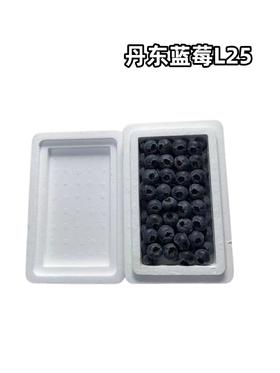 丹东蓝莓🫐L25   18+   整箱毛重7-8两上下