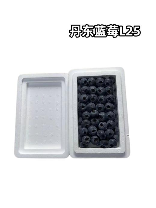 丹东蓝莓🫐L25   18+   整箱毛重7-8两上下 商品图0
