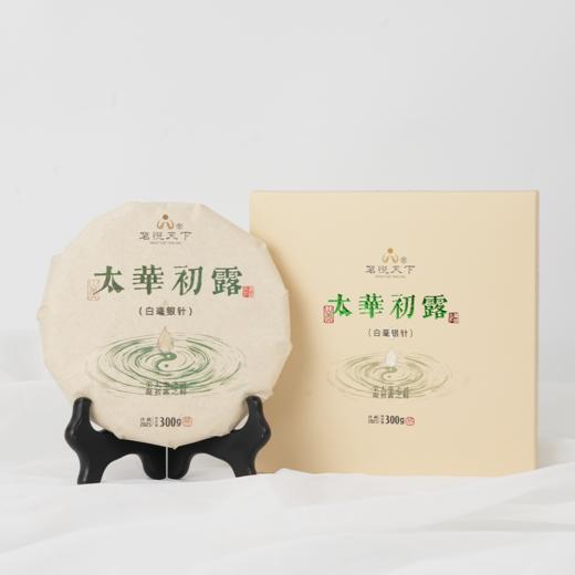 【太华初露】2025年白毫银针饼 商品图1
