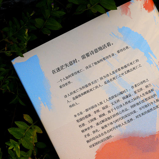 诗人之死：绮梦、爱欲与国忧 商品图3