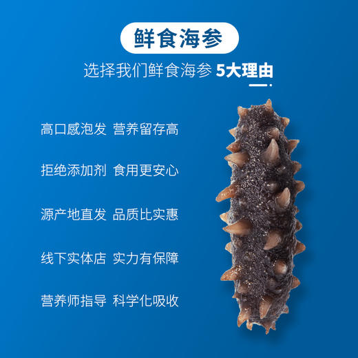 热卖中！！【顺丰直发】忘舌特级鲜食海参 6头帝王参 免泡发 500g/包 商品图5