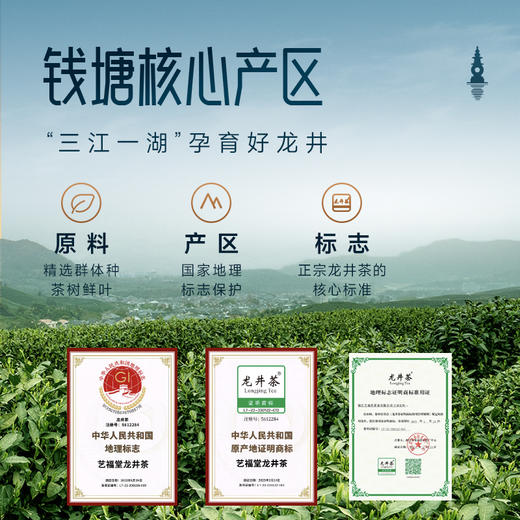 【新茶上市】艺福堂2026年早春龙井茶50g/罐 商品图1