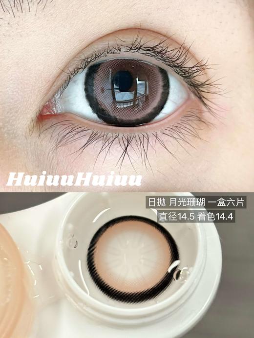 【新品大直径日抛】Sheepcon-月光珊瑚/月光琥珀/奶油榛果/大蜜糖色-总直径14.5mm-着色14.5mm【日抛 0-1000度 不含525/575】 商品图4