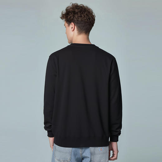 Dickies经典美式复古毛圈布圆领卫衣 前中绒毛印花LOGO卫衣男女 DK0A88N1 商品图1