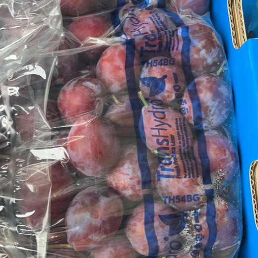 【空运智利西梅】粉滴滴的醇香蜜甜，果粉十足，可以越放越甜的S身神器！女神必入水果推荐系列 商品图1