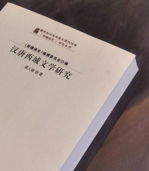 【绝版】《汉唐西域文学研究》，16开平装，高人雄编著，新疆人民出版社2017年一版一印，530面，定价88，售价58元。 商品图2