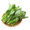 【福利官】放心嫩嫩菜(菠菜) 200g/袋 商品缩略图3