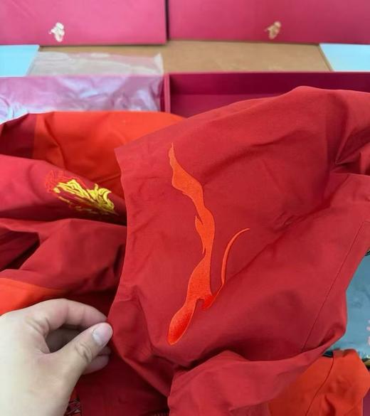 点此购买 始祖鸟男女款马年新春限定骏马刺绣图案GTX硬壳连帽防风防水滑雪衣冲锋衣 ggd 340777 商品图8