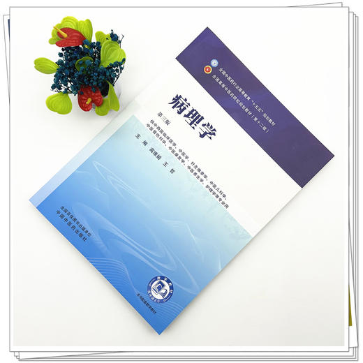 病理学 高维娟 王哲 主编（第三版）中西医临床 全国中医药行业高等教育十五五规划教材第十二版书 中国中医药出版社 商品图1
