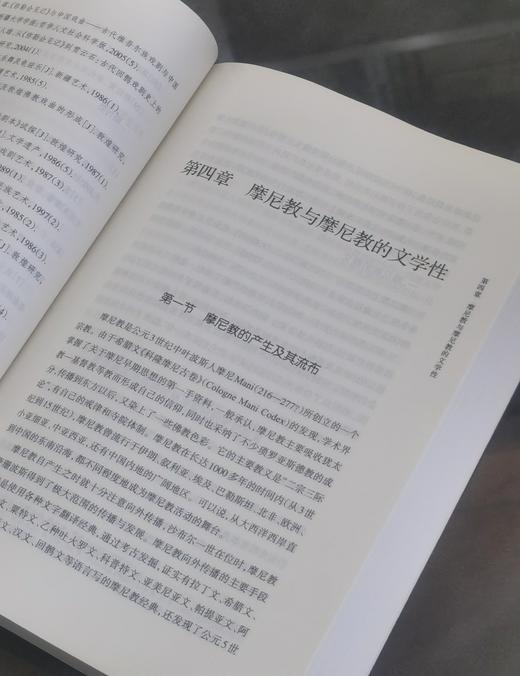 【绝版】《汉唐西域文学研究》，16开平装，高人雄编著，新疆人民出版社2017年一版一印，530面，定价88，售价58元。 商品图6