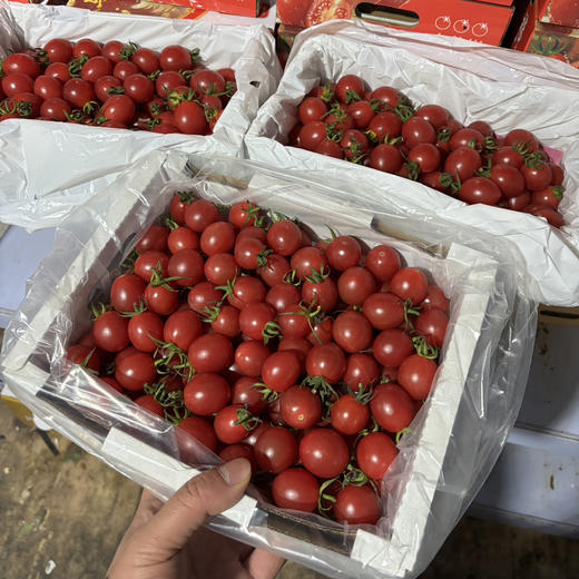 19.8元一箱精品广东电白千禧 商品图0