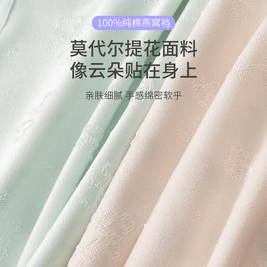 【樱姿娜莫代尔高腰轻燕裤80065，49.9元/5条】微压轻塑形，轻盈有料，0感体验 商品图3