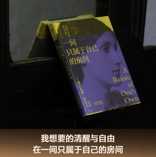 一间只属于自己的房间（热播剧《我的阿勒泰》经典台词，女性主义奠基作品，李银河、杨澜推荐）伍尔夫代表作 小说 商品图1