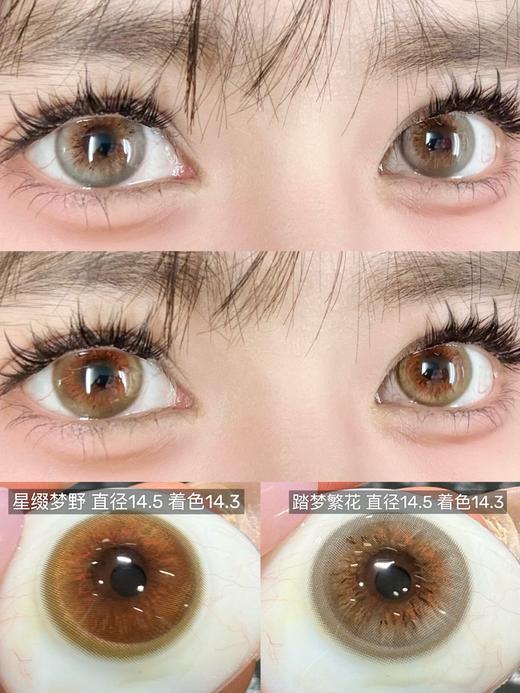 【大直径半年抛】MIMIPARK-星缀梦野/踏梦晚花-14.5mm【半年抛 0-800度 无525/575】 商品图0