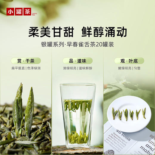 【2026特级早春雀舌】小罐茶  2026特级早春雀舌新茶礼盒装  银罐20罐 80g  【预售】 商品图2