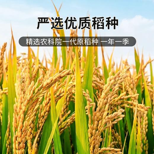 【东滩绿港】东滩鸭稻米（2.5kg真空包装） 商品图3