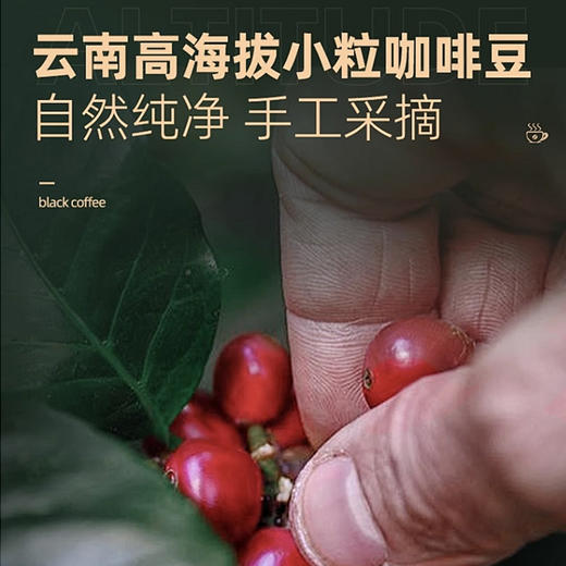 云南小粒速溶黑咖啡#入口微苦不酸涩，丝滑顺口，阿拉比卡小粒咖啡0脂肪0蔗糖，早八人bi备 商品图3