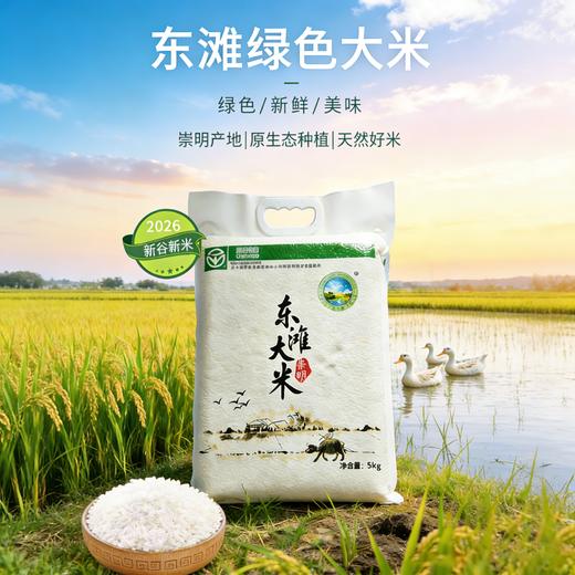 【当季米】“东滩绿港”东滩大米外部真空全年套餐A（5kg*2包*12次，共120kg） 商品图0