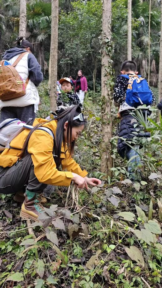 3.14/3.15/4.1/4.2每周一山，亲子徒步！去葛仙山挖野菜，野葱、蕨菜，寻找野生羊肚菌，春日限定美景，趣享自然野趣，走邛崃茶马古道，野生小众路线，人少环境清幽 商品图3