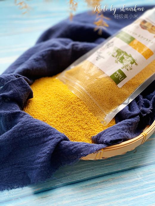 「油香油香的！」陕北米脂特级黄小米（2025年新米） txa 商品图1