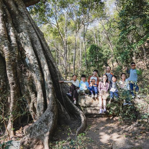 五一特期 | 西双版纳，丛林王国里的人与自然 5天4晚 商品图6