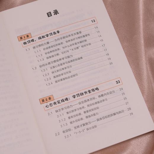 赢在小习惯 低成本、高效能的学习力养成法学霸养成实战指南 家长学生指南书籍 提升成绩从微习惯开始 商品图3