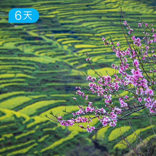 皖南轻户外｜春季34公里徒步 徽杭古道 徽派古村落赏花 6日 商品图1