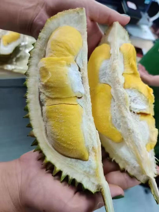 猫山王榴莲-礼盒 商品图4