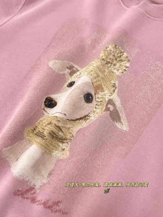 FXA2511时髦休闲卫衣 商品图3