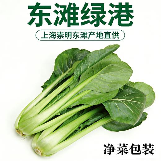 肉菜（1份，约500g） 商品图1