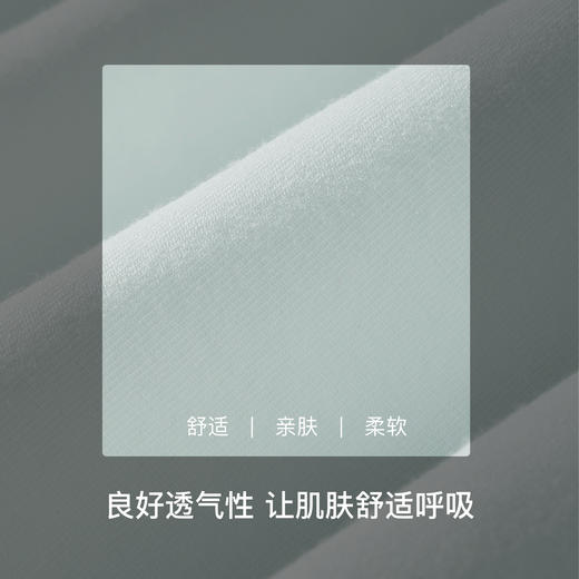 【满4条/7.5折】（中版）【秀黛】女时尚高支棉平角裤女士内裤【1条】W5333030T【门店同款】【内裤非质量问题不退换，介意勿拍】 商品图3