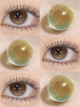 店主推荐丨流星巴斯克·Bollycon丨14.5mm（半年抛/2片装）