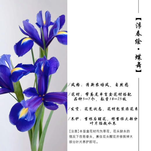 浮春绘·蝶舞 商品图0