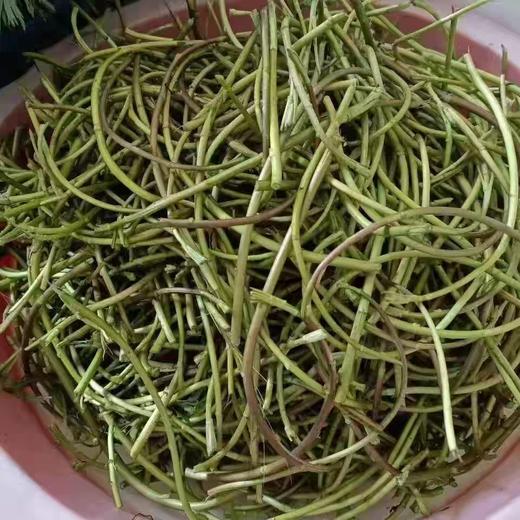 野生藜蒿，1斤 商品图0