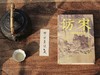 访宋：士与器的黄金时代（解锁宋词、宋画、宋茶、宋香的风雅，追寻宋徽宗、王安石、苏东坡、李清照、辛弃疾的踪迹，重新发现宋朝的生活美学与人文精神） 商品缩略图2
