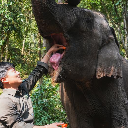 五一特期 | 西双版纳，丛林王国里的人与自然 5天4晚 商品图13