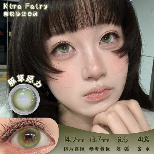 KiraFairy 豚草愿力 日抛 十片 14.2mm 参考着色 13.7mm 基弧 8.5 含水 40% 新锐国货 商品图0