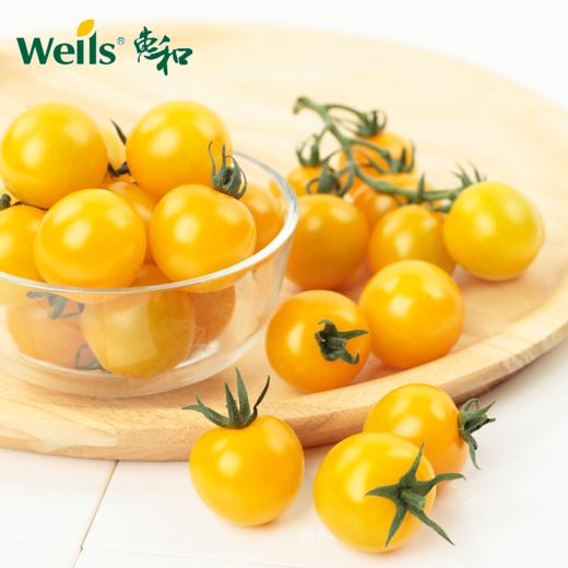 「专业种子」黄冠16 番茄杂交种子 无限生长，长势强健，黄色圆果型，果重约25g 商品图0