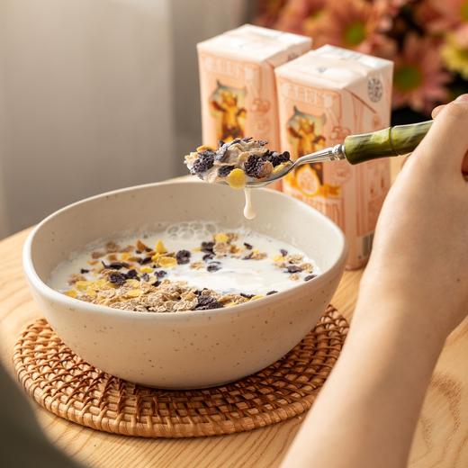 爱杂杂每日全谷物|免煮免焖，松脆可口满满谷物香 商品图3