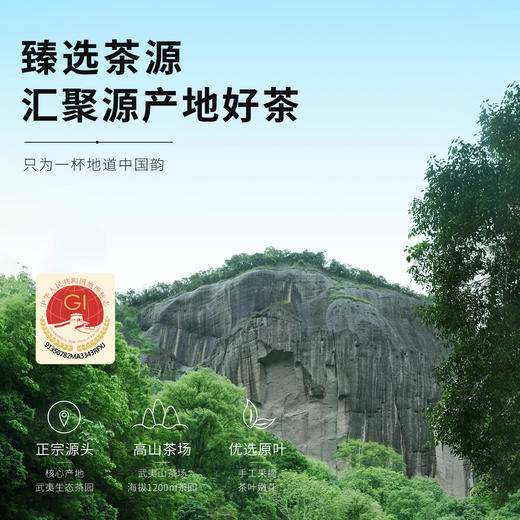 【顺丰春季茶礼】茶叶 大红袍 武夷岩茶 乌龙茶 茶叶礼盒 茶饮 华源 250g 商品图6