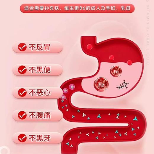 怡萃多牌铁维生素B6口服液300ml(30ml*10支) 商品图3