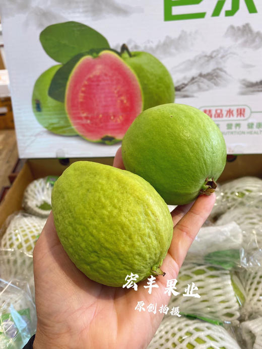 【宏丰精选】 红心芭乐，珍珠翻石榴 孕妇与老人水果 放软的口会更好，活动价15.8一斤 商品图0